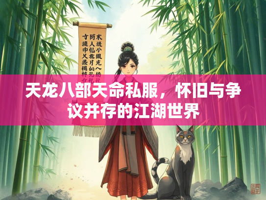 天龙八部天命私服，怀旧与争议并存的江湖世界  第3张