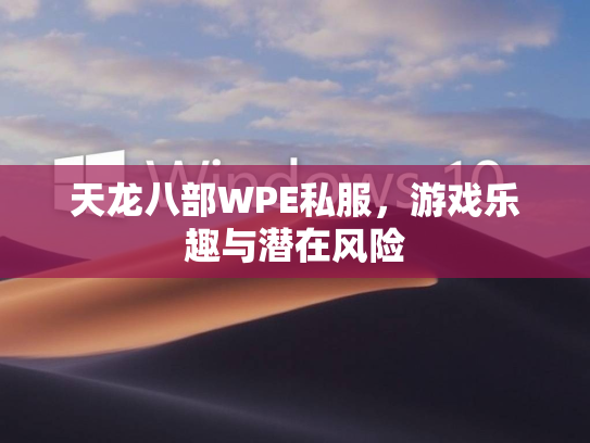 天龙八部WPE私服，游戏乐趣与潜在风险