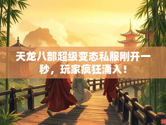 天龙八部超级变态私服刚开一秒，玩家疯狂涌入！
