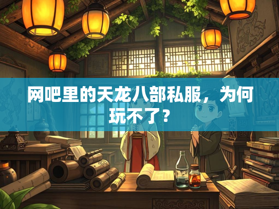网吧里的天龙八部私服，为何玩不了？  第2张