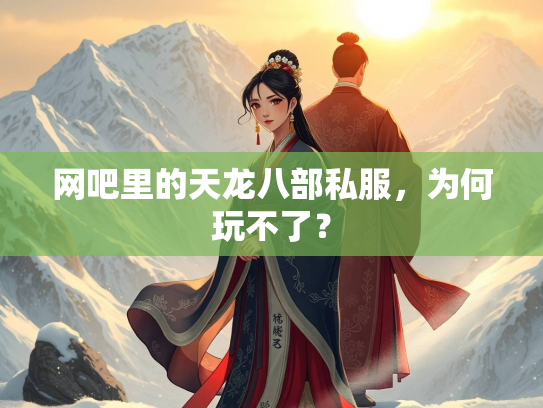 网吧里的何玩<strong></strong>天龙八部私服，为何玩不了？  第1张