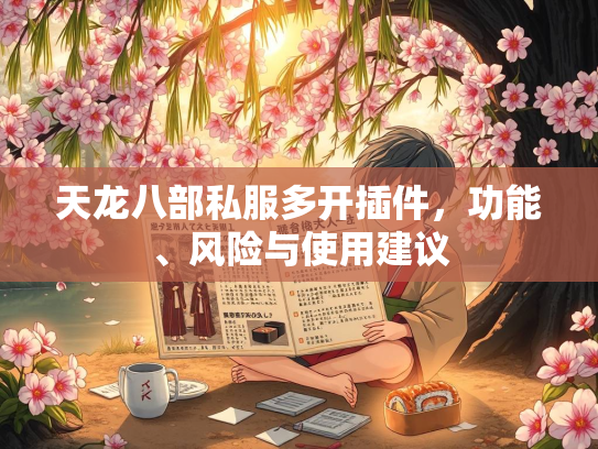 天龙八部私服多开插件，功能、风险与使用建议