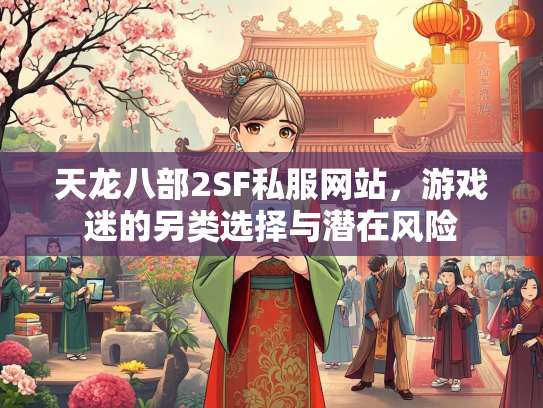 天龙八部2SF私服网站，游戏迷的另类选择与潜在风险  第2张