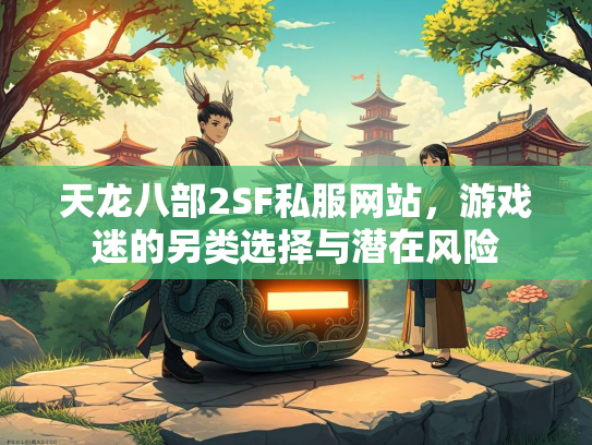 天龙八部2SF私服网站，游戏迷的另类选择与潜在风险  第1张