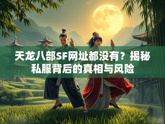 天龙八部SF网址都没有？揭秘私服背后的真相与风险