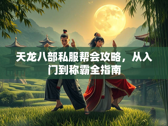 天龙八部私服帮会攻略，从入门到称霸全指南  第2张
