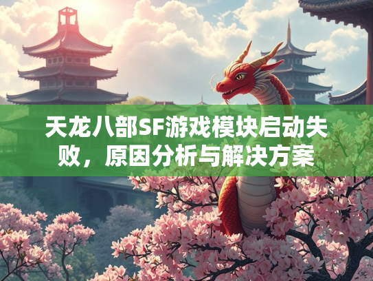 天龙八部SF游戏模块启动失败，原因分析与解决方案  第2张