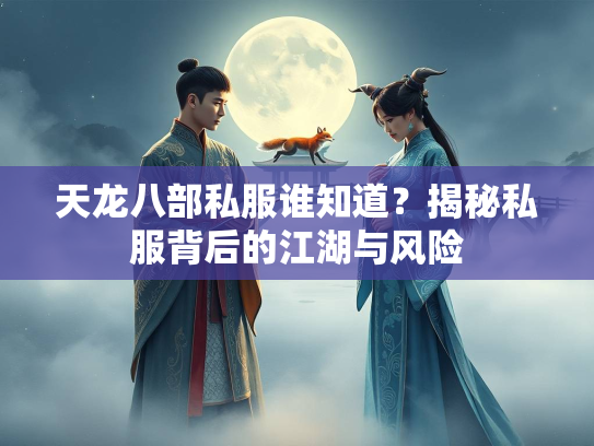 天龙八部私服谁知道？揭秘私服背后的江湖与风险  第3张