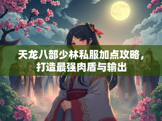 天龙八部少林私服加点攻略，打造最强肉盾与输出