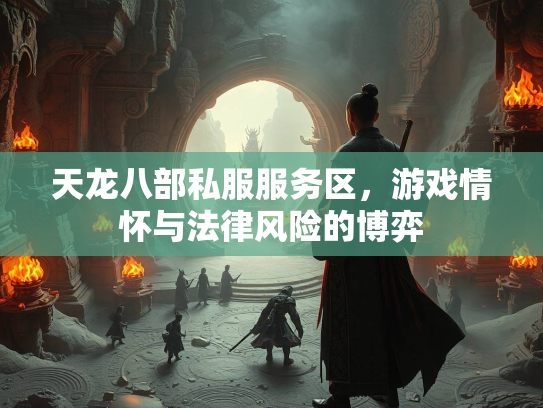 天龙八部私服服务区，游戏情怀与法律风险的博弈  第2张