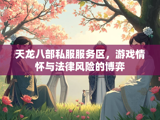 天龙八部私服服务区，游戏情怀与法律风险的博弈  第1张