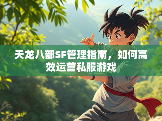 天龙八部SF管理指南，如何高效运营私服游戏
