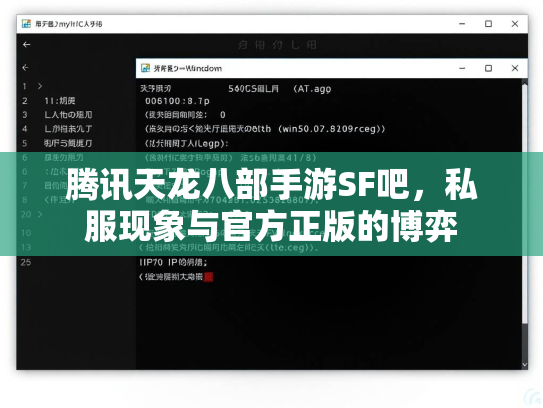 腾讯天龙八部手游SF吧，私服现象与官方正版的博弈  第2张