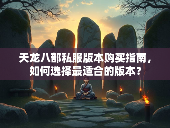 天龙八部私服版本购买指南，如何选择最适合的版本？  第2张