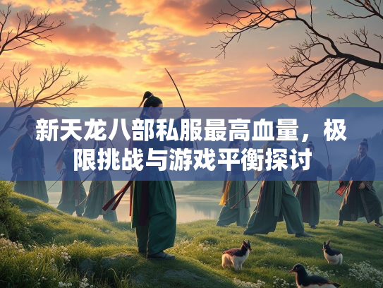 新天龙八部私服最高血量，极限挑战与游戏平衡探讨  第2张