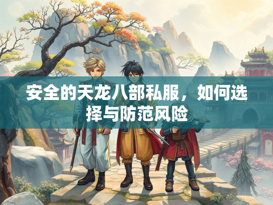 安全的天龙八部私服，如何选择与防范风险  第2张
