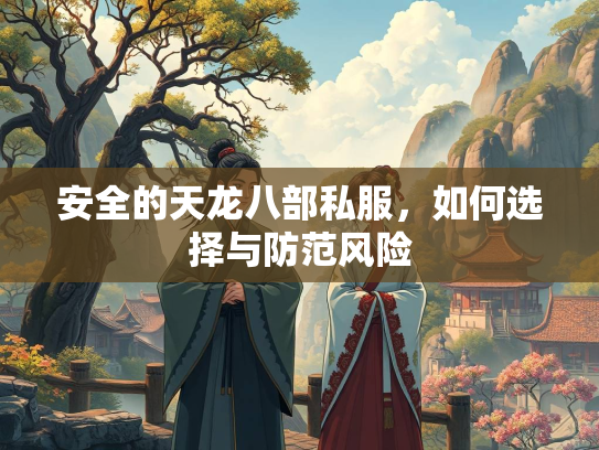 安全的私服<strong></strong>天龙八部私服，如何选择与防范风险  第1张