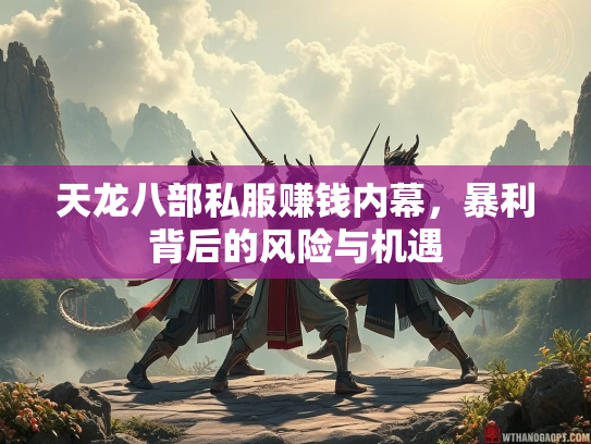 天龙八部私服赚钱内幕，暴利背后的风险与机遇  第3张