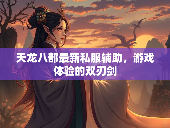 天龙八部最新私服辅助，游戏体验的双刃剑