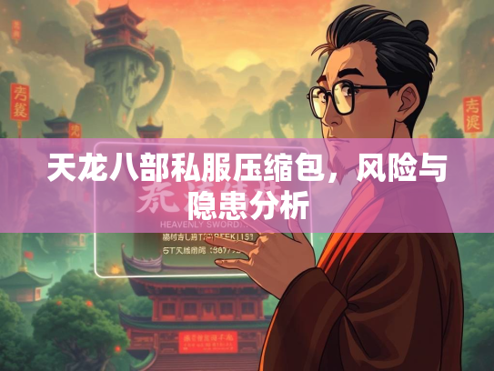 天龙八部私服压缩包，风险与隐患分析  第3张