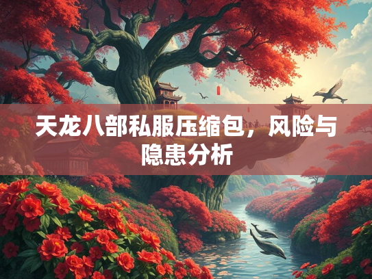 天龙八部私服压缩包，风险与隐患分析  第1张