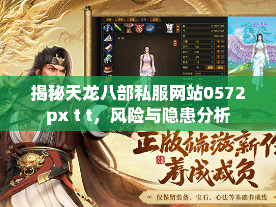 揭秘天龙八部私服网站0572px t t，风险与隐患分析  第4张