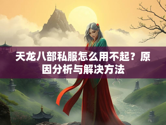 天龙八部私服怎么用不起？原因分析与解决方法  第3张