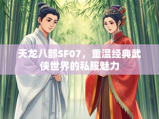 天龙八部SF07，重温经典武侠世界的私服魅力  第3张