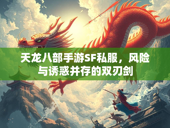 天龙八部手游SF私服，风险与诱惑并存的双刃剑  第2张