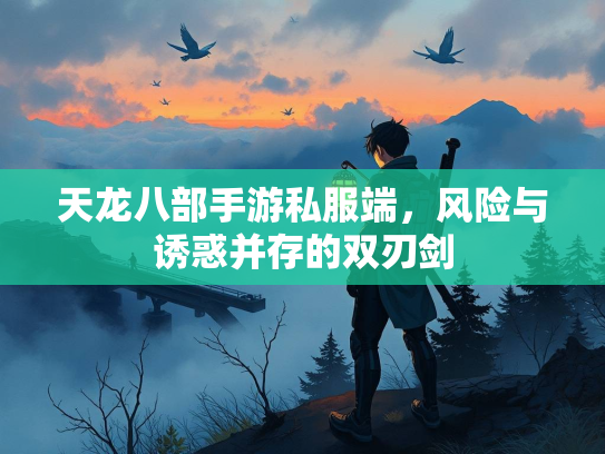 天龙八部手游私服端，风险与诱惑并存的双刃剑  第2张