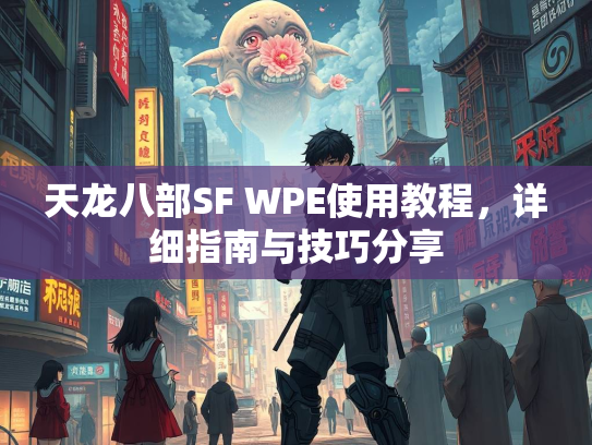 天龙八部SF WPE使用教程，详细指南与技巧分享