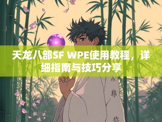 天龙八部SF WPE使用教程，详细指南与技巧分享