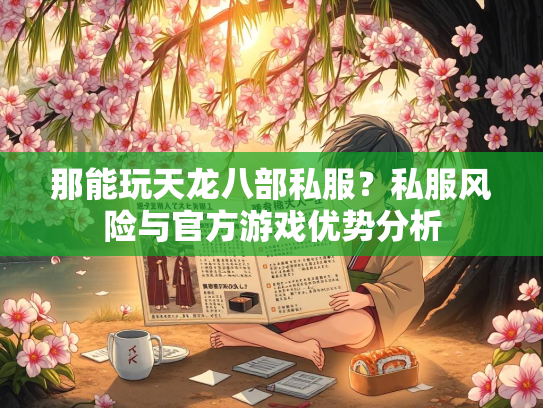 那能玩天龙八部私服？私服风险与官方游戏优势分析  第3张