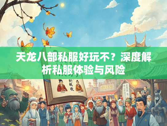天龙八部私服好玩不？深度解析私服体验与风险  第2张