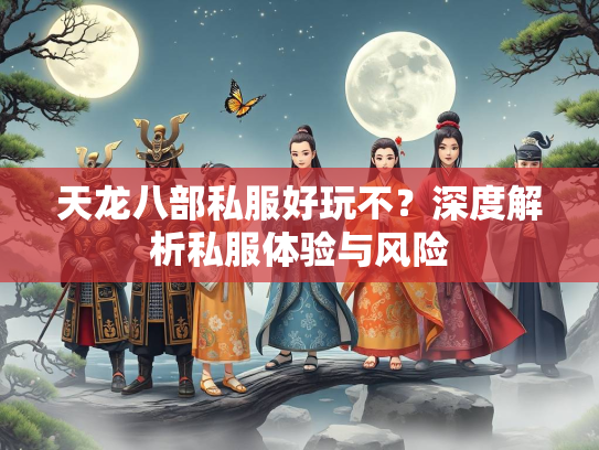天龙八部私服好玩不？深度解析私服体验与风险  第3张