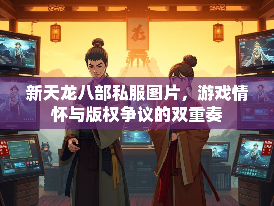 新天龙八部私服图片，游戏情怀与版权争议的双重奏
