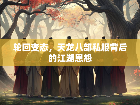 轮回变态，天龙八部私服背后的江湖恩怨  第2张
