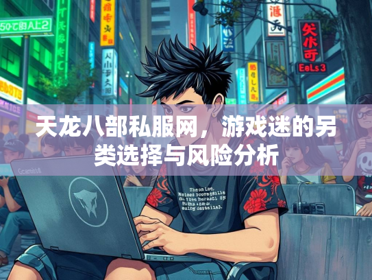 天龙八部私服网，游戏迷的另类选择与风险分析  第3张