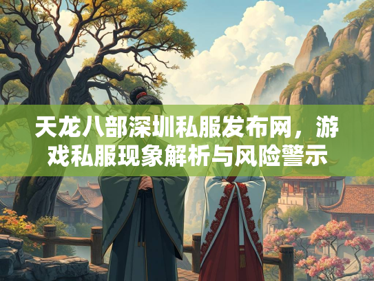 天龙八部深圳私服发布网，游戏私服现象解析与风险警示