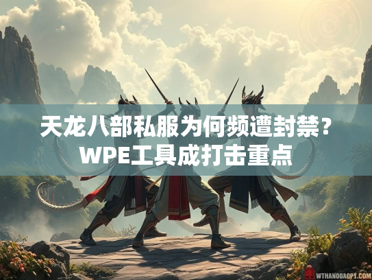天龙八部私服为何频遭封禁？WPE工具成打击重点