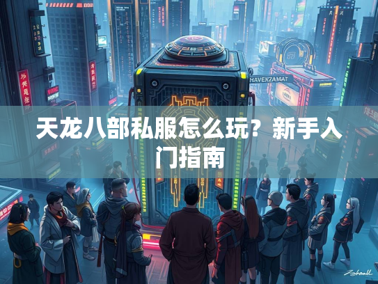 天龙八部私服怎么玩？新手入门指南  第3张