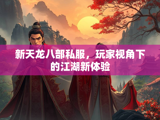 新天龙八部私服，玩家视角下的江湖新体验  第2张