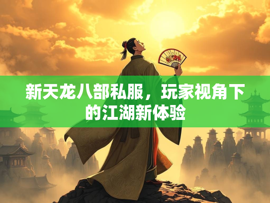 新天龙八部私服，玩家视角下的江湖新体验  第1张