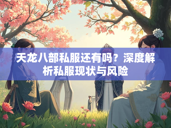 天龙八部私服还有吗？深度解析私服现状与风险