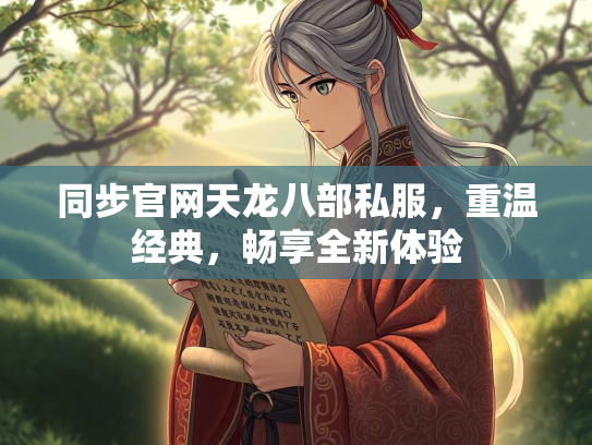 同步官网天龙八部私服，重温经典，畅享全新体验  第3张