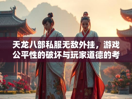 天龙八部私服无敌外挂，游戏公平性的破坏与玩家道德的考验  第2张