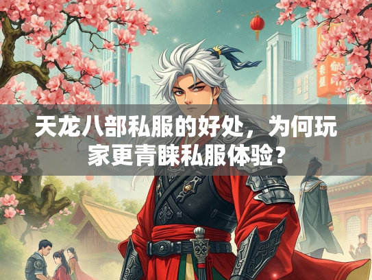 天龙八部私服的好处，为何玩家更青睐私服体验？