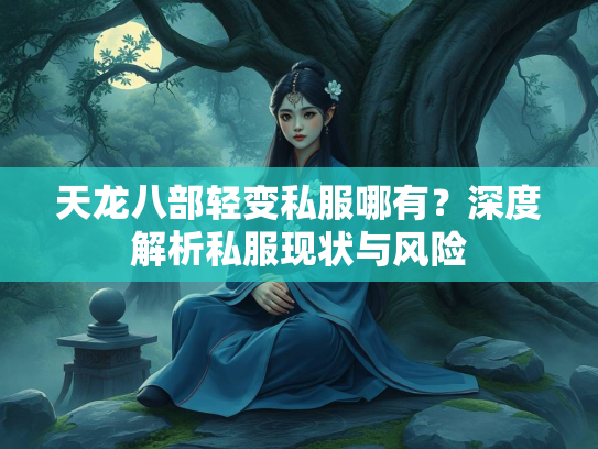天龙八部轻变私服哪有？深度解析私服现状与风险  第2张