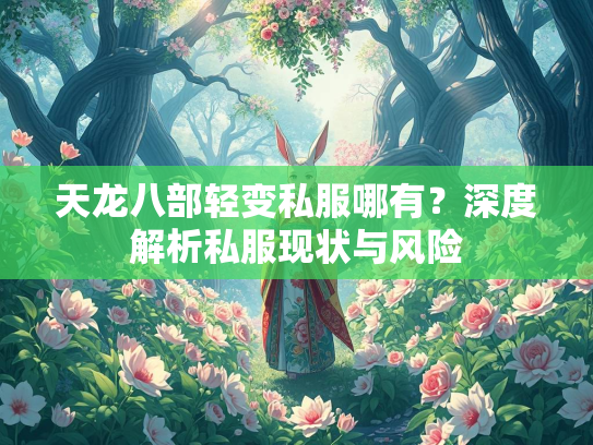 天龙八部轻变私服哪有？深度解析私服现状与风险