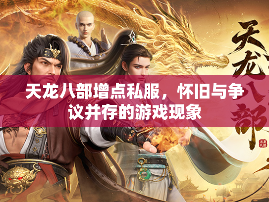天龙八部增点私服，怀旧与争议并存的游戏现象  第3张